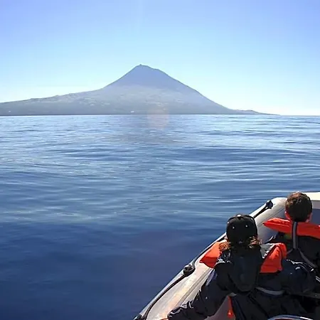 Guest house Rainbow Madalena (Azores)